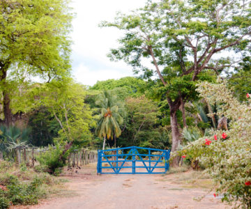 Ein blaues Tor am Eingang einer Farm auf der Halbinsel Nicoya in Costa Rica