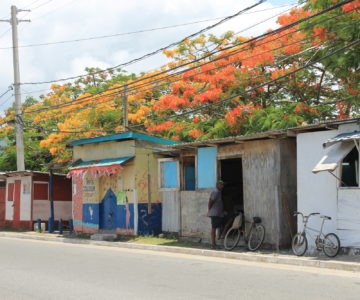 Verkaufsstände am Straßenrand unterwegs nach Robins Bay