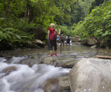 Wanderung durch einen Fluss im Regenwald im Talamanca-Gebirge