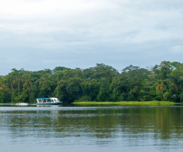 Boot auf einem Kanal im Regenwald an der Karibikküste