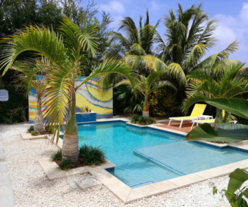 Bubali Bliss Apartments, Aruba, Pool