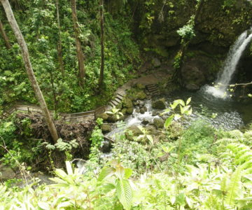 Wasserfall auf Dominica von oben