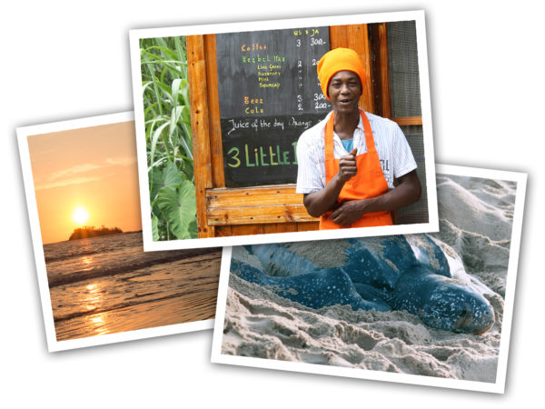 Postkartensammlung einzigartiger Erlebnisse - Sonnenuntergang, Taucher unter Wasser, Meeresschildkröte am Strand, Rasta-Koch