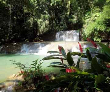 Wasserfall YS Falls an Jamaicas Südküste