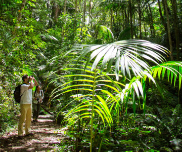 Wanderer im Regenwald von Tobago