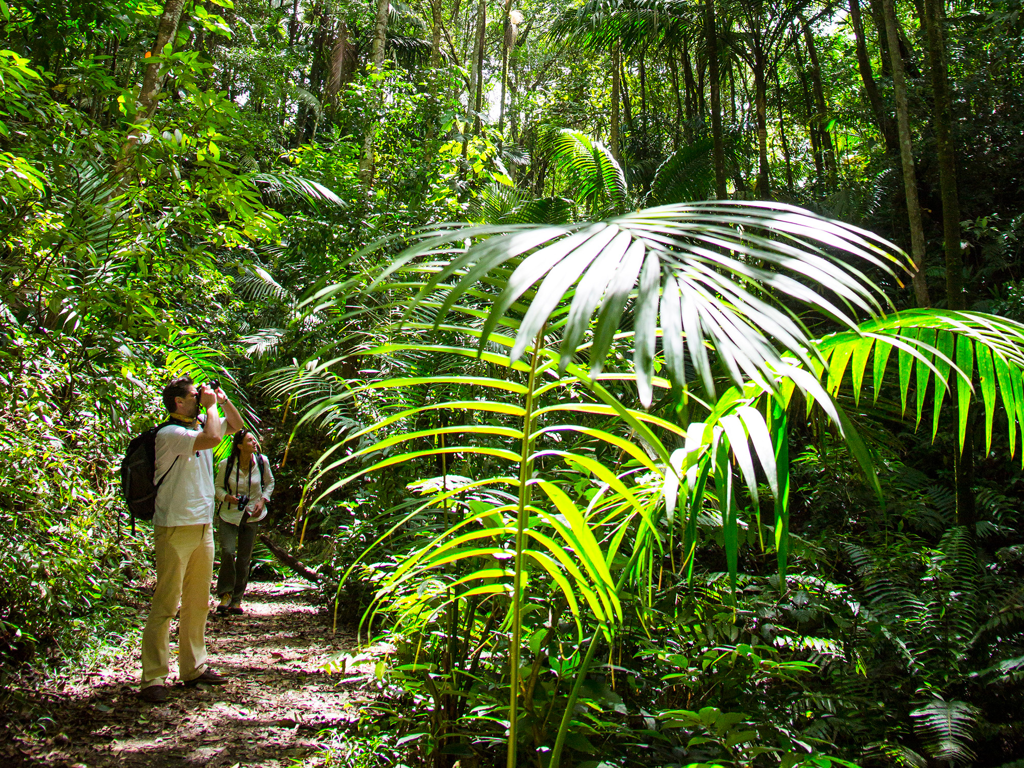 Wanderer im Regenwald von Tobago