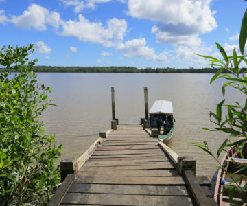Fähranleger am Commewijne Fluss in Suriname