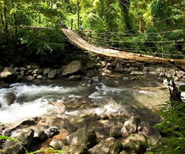 Bambushängebrücke über einen Fluss auf St. Vincent