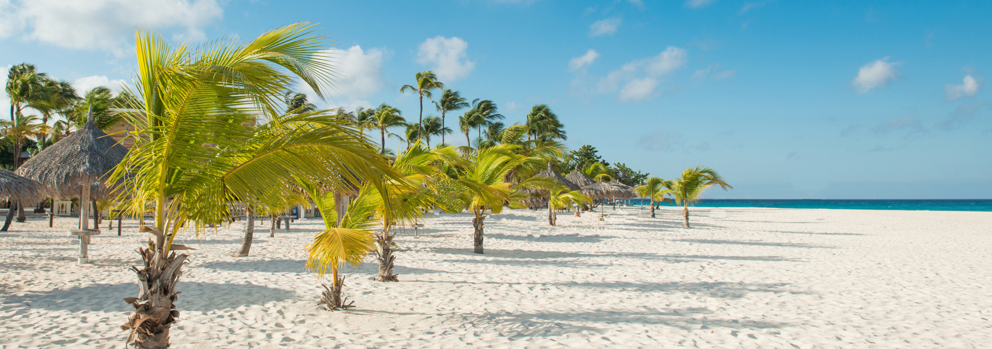 Eagle Beach auf Aruba mit Palmen und weißem Sandstrand