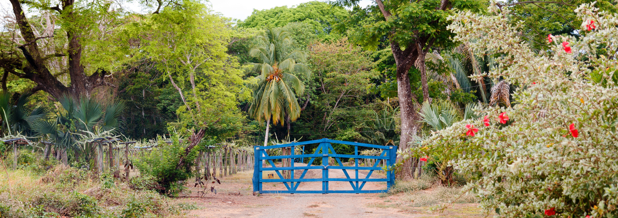 Blaues Tor in Guanacaste in Costa Rica