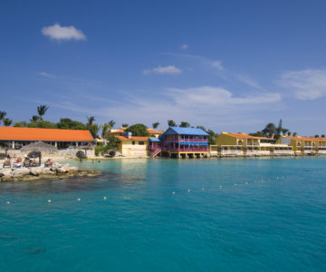 Divi Flamingo Beach Resort, Strand und Anlage