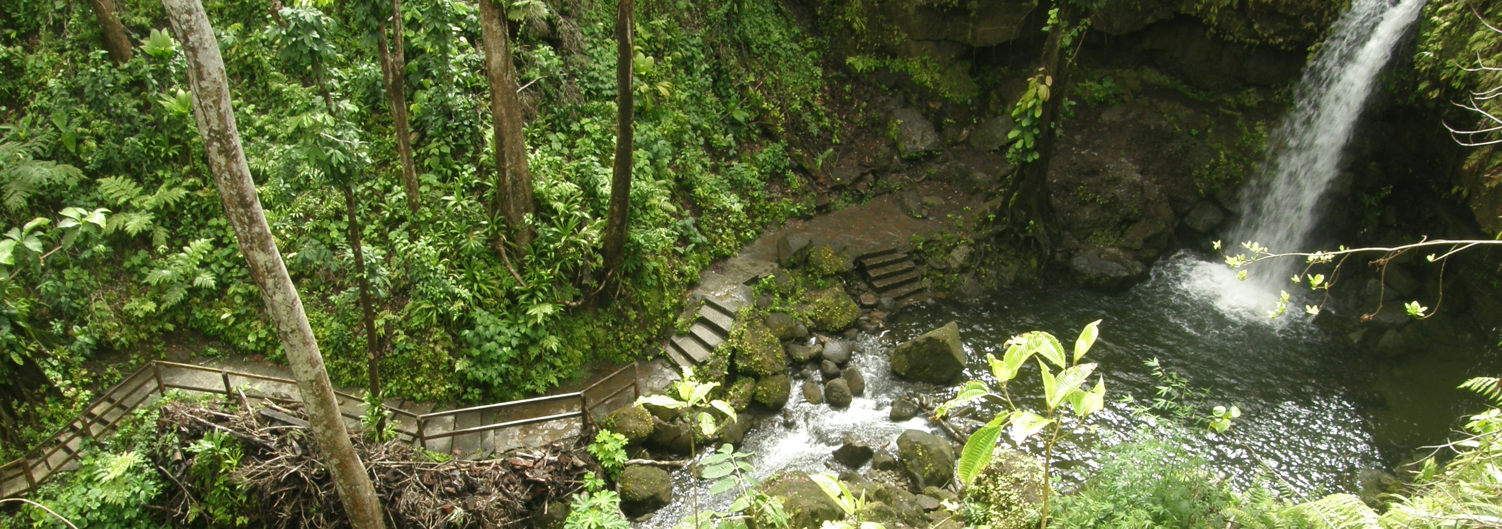 Wasserfall auf Dominica von oben