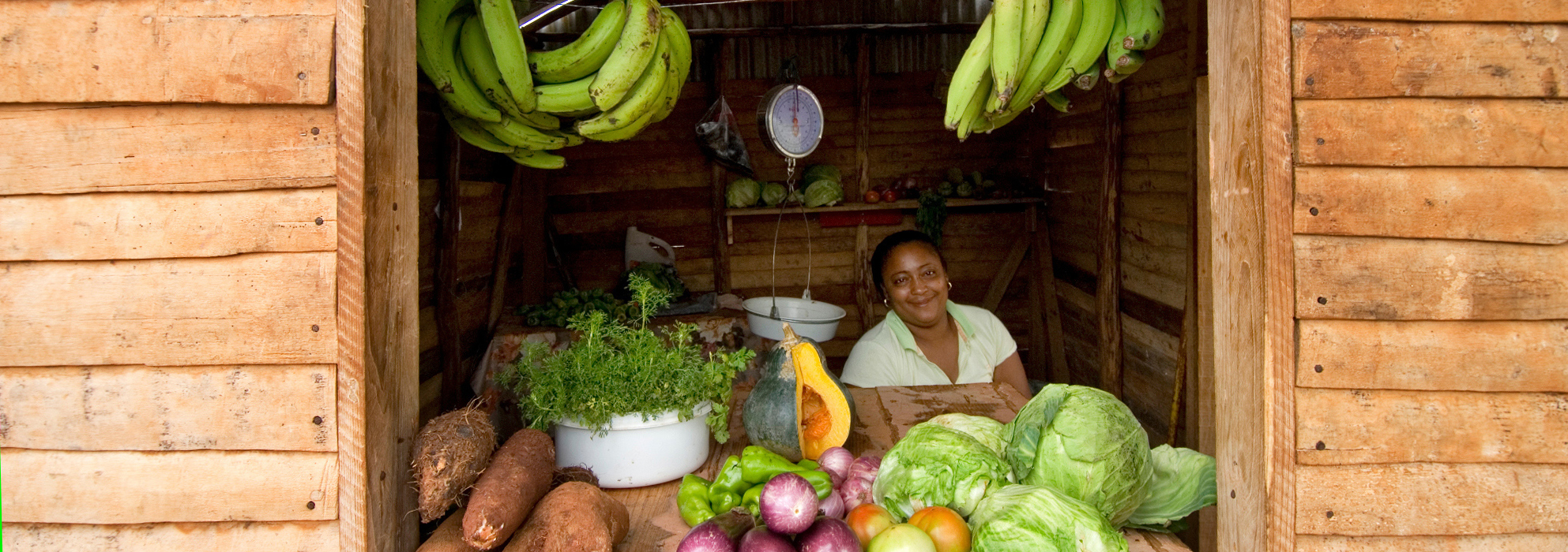 Verkaufsstand mit Obst und Gemüse nahe Las Galeras in Samana, Dominikanische Republik