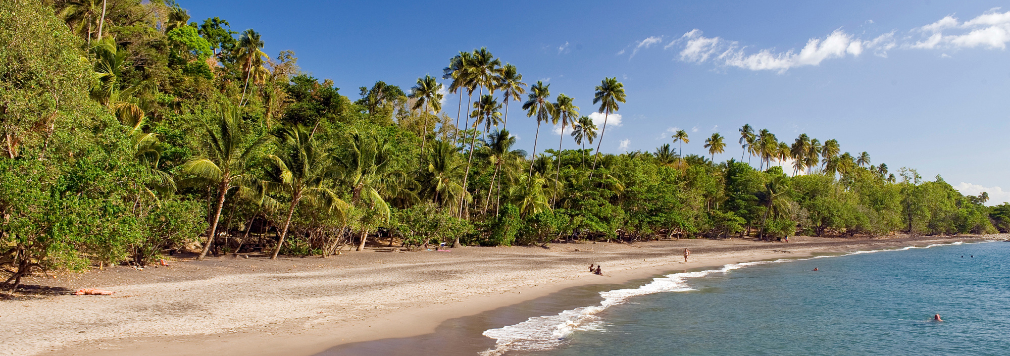Strand der Anse Couleuvre auf Martinique mit Palmen und Sandstrand