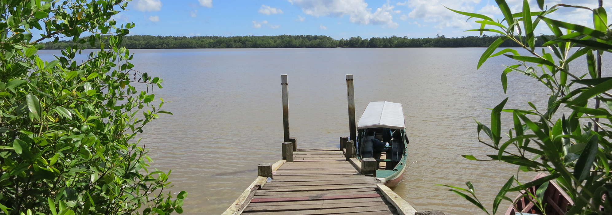 Bootssteg am Commewijne in Suriname