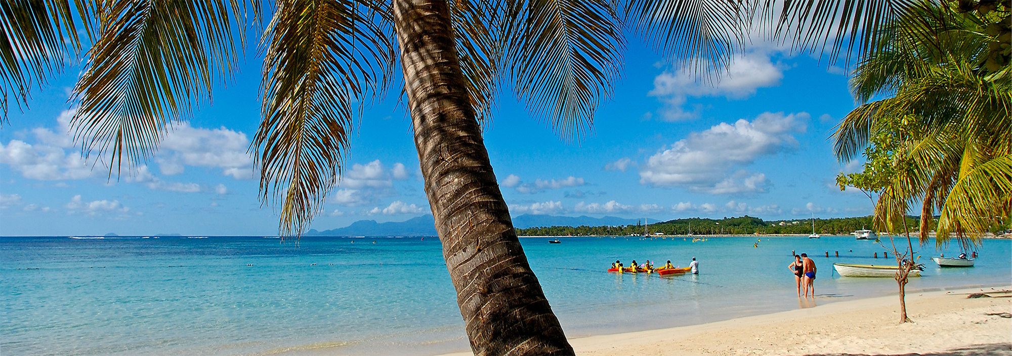 Weißer Sandstrand mit Palmen von Sainte Anne auf Grande-Terre, Guadeloupe