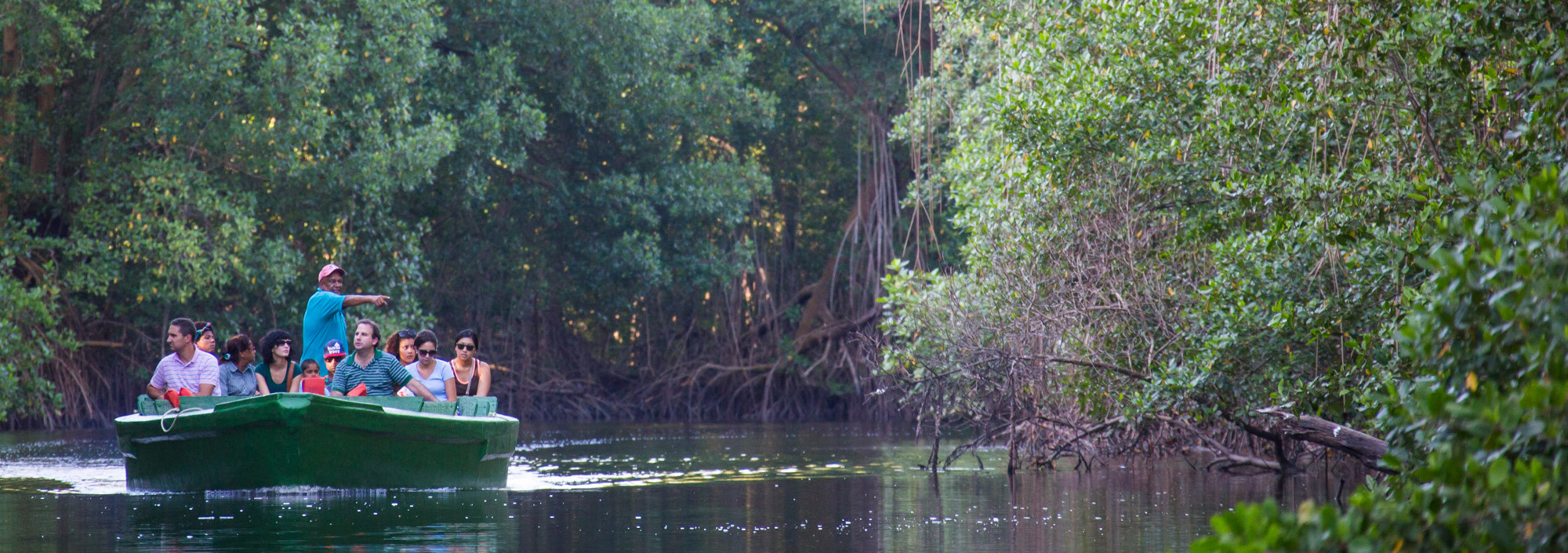 Bootstour in den Caroni Sümpfen auf Trinidad