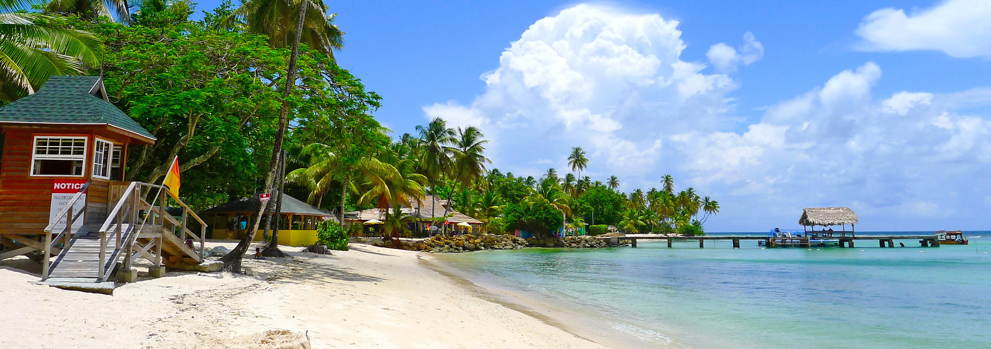 Weißer Sandstrand auf Tobago mit grünen Palmen am Buccoo Reef