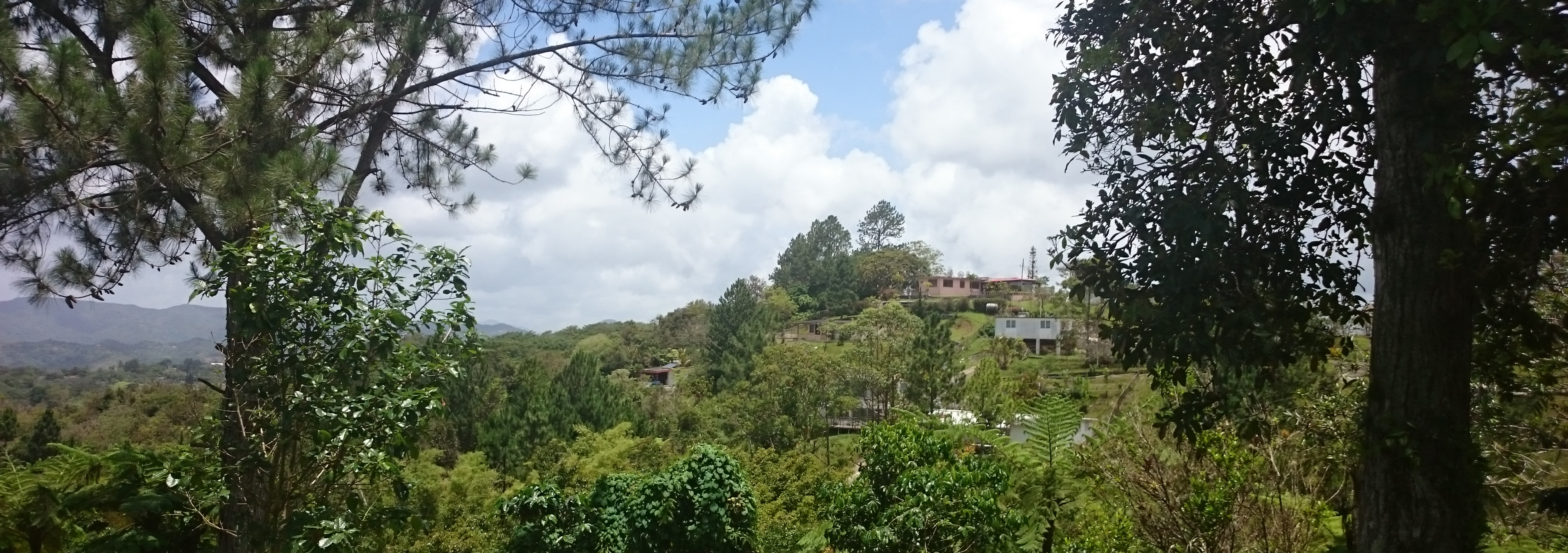 Im Landesinneren von Puerto Rico in den Bergen