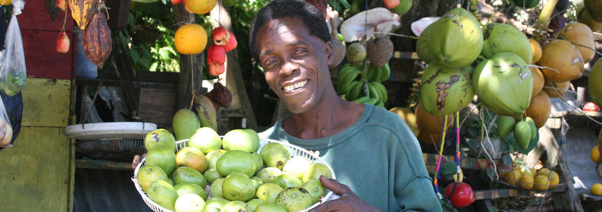 Obstverkäufer mit Orangen und Kokosnüssen an einem Stand in Jamaica