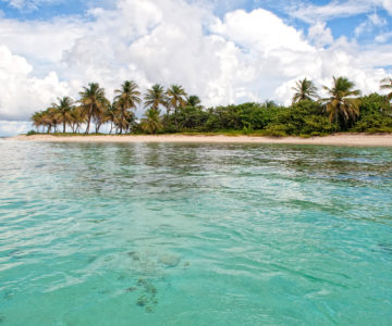 Unberührte Insel mit Palmen und weißem Strand in den Tobago Cays, Grenadinen
