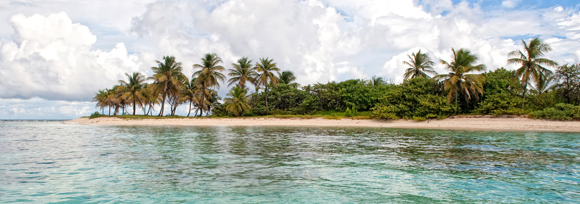 Einsame Inseln der Tobago Cays mit weißem Sandstrand und Palmen