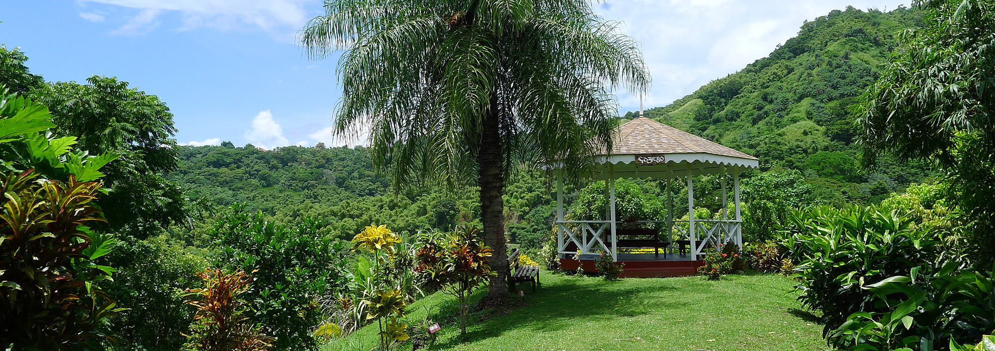 Rastplatz in der Natur auf Tobago