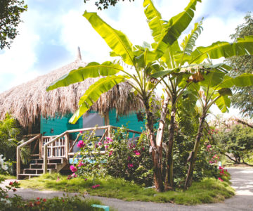 Mondi Lodge, Curacao, Bungalow