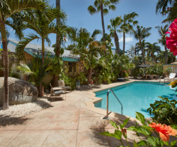 Pool im privaten Garten des Paradera Park auf Aruba