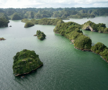 Inselwelt Los Haitises auf Samana in der Dominikanischen Republik