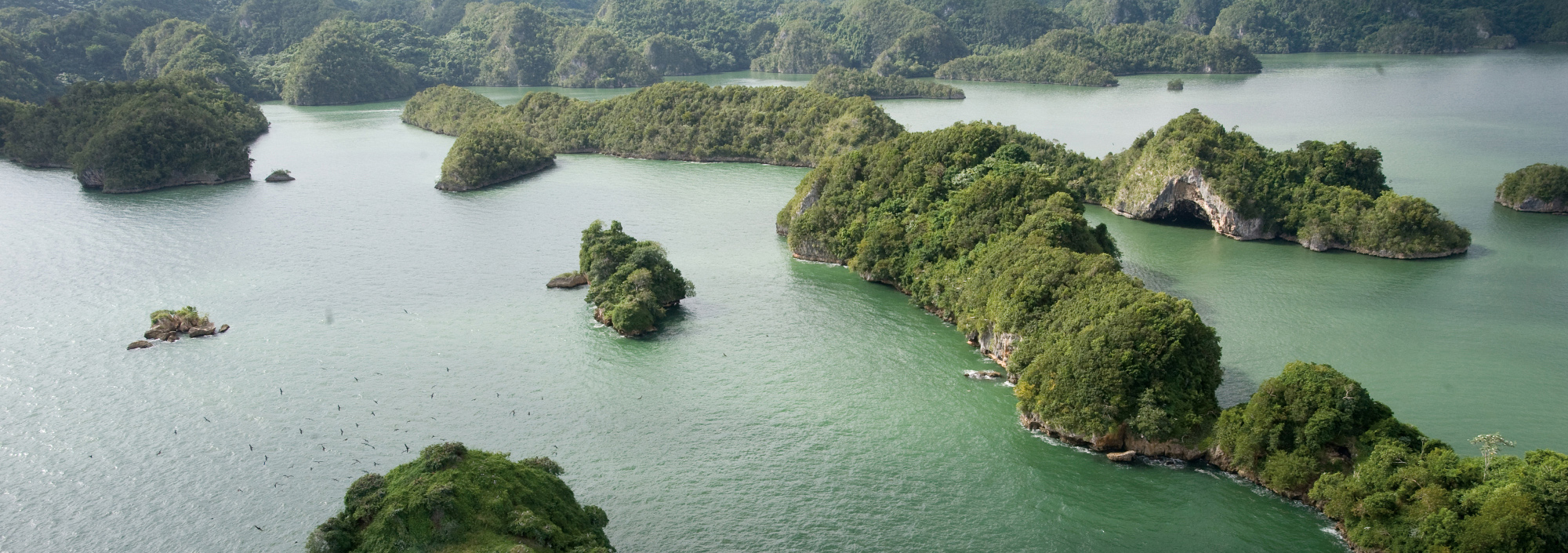 Inselwelt Los Haitises auf Samana in der Dominikanischen Republik