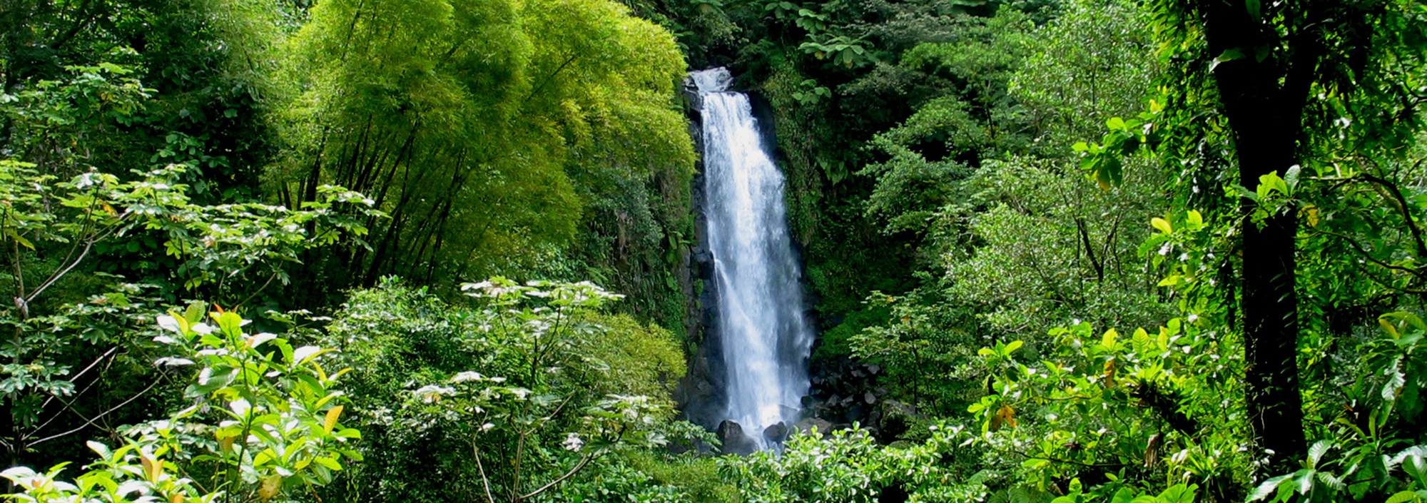 Wasserfall auf Dominica im Regenwald