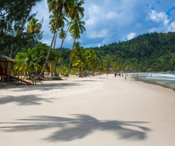 Maracas Beach auf Trinidad mit Palmen und weißem Sandstrand