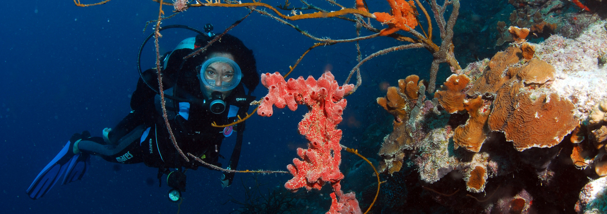 Taucher unter Wasser mit bunten Korallen