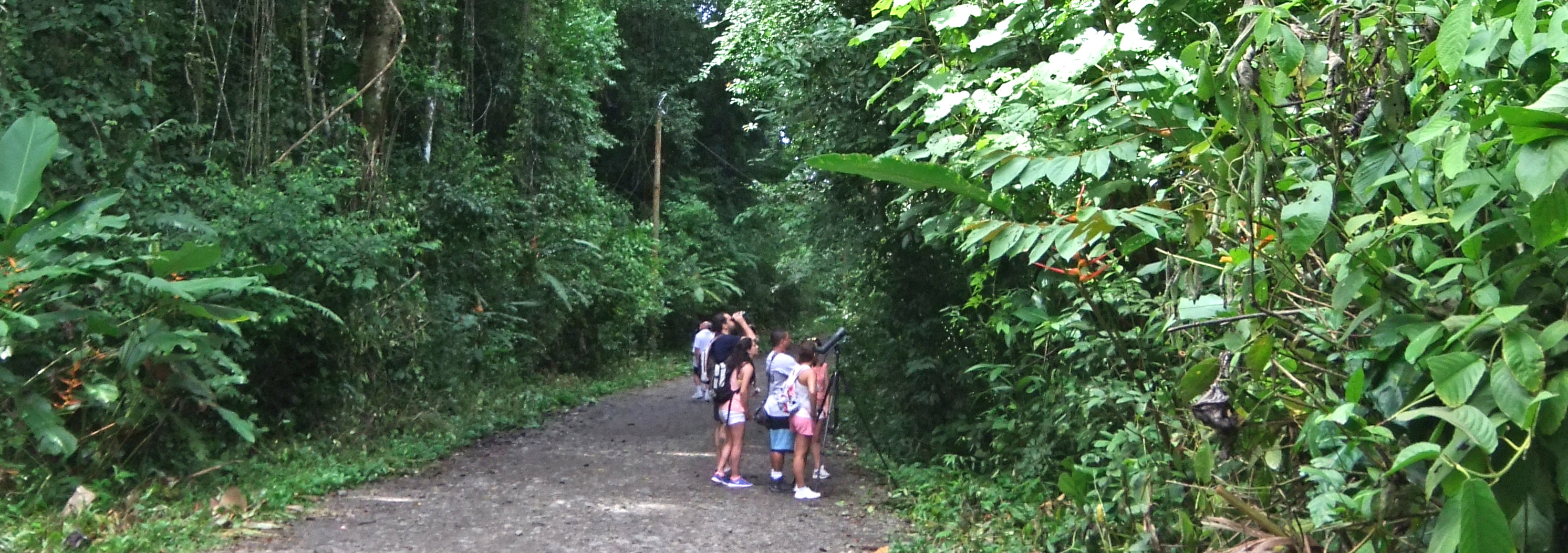 Wanderer im Manuel Antonio Nationalpark in Costa Rica