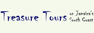 Logo der Agentur Treasure Tours