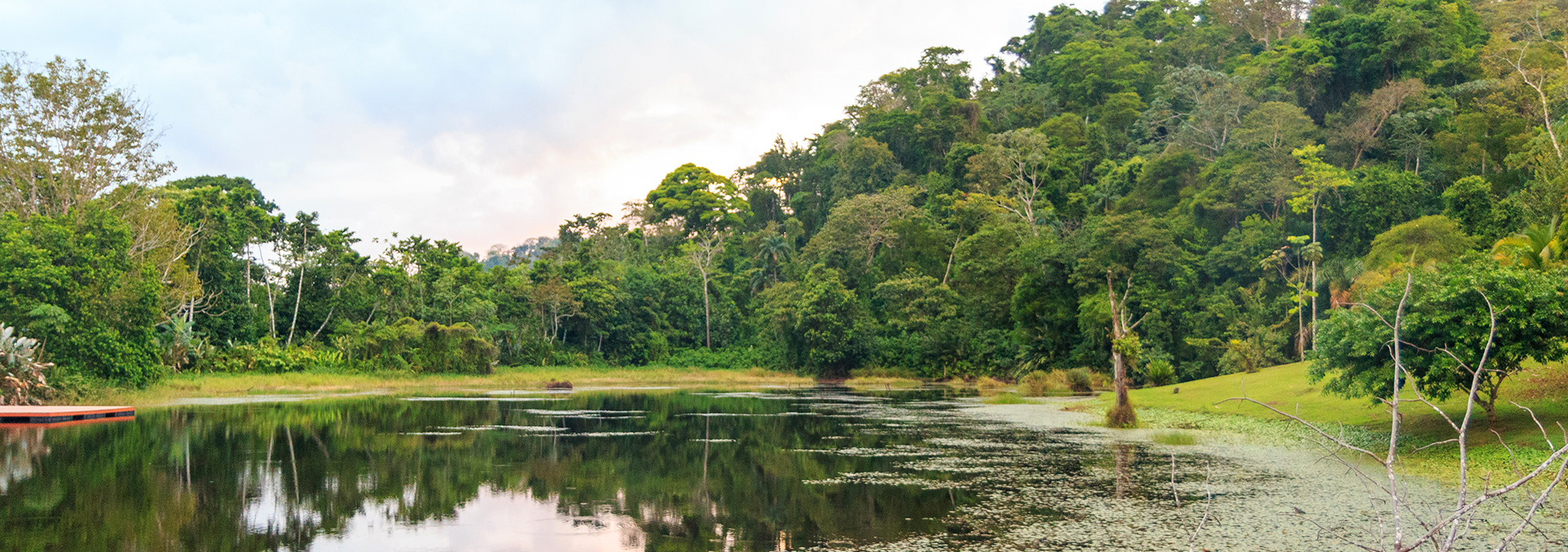 Lagunen im Maquenque Gebiet im Norden Costa Ricas