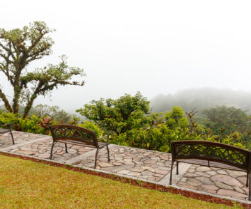 Bänke mit Blick in den Nebelwald am Villa Blanca Cloud Forest Hotel, Costa Rica