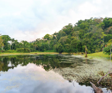 Lagunen und Tieflandregenwald bei Maquenque im Norden von Costa Rica