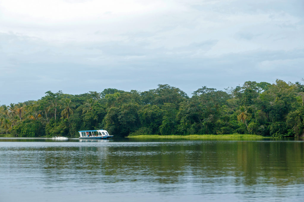 Per Boot im Delta des Pacuare Flusses unterwegs