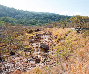 Blick in Nationalpark Rincon de la Vieja mit Fumarolen und Schlammlöchern, Costa Rica