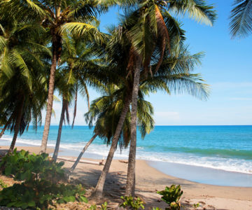 Strand am Tango Mar Beach Resort an der Nordpazifikküste von Costa Rica