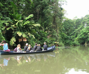 Bootsfahrt auf dem Tortuguero Kanal in Costa Rica