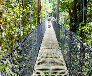 Auf den Hängebrücken am Vulkan Arenal, Costa Rica