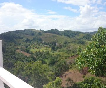 Blick ins ruhige Cockpit Country auf Jamaica