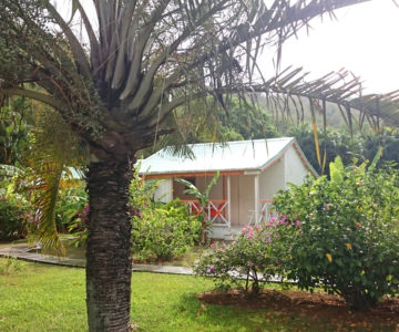 Fleurs des Iles, Guadeloupe, Apartement