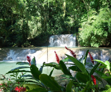 YS Wasserfälle im Süden von Jamaica