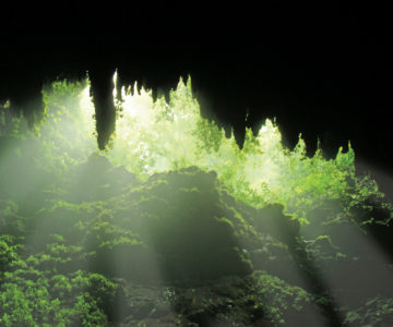 Von Licht grün erleuchtete Camuy Caves auf Puerto Rico