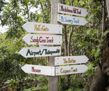 Schilder an einer Wegkreuzung im Wald auf Saba