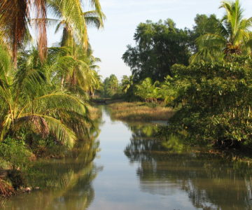 Entwässerungskanäle auf der Plantage Frederiksdorp